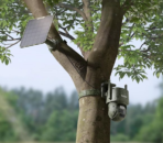 Reolink TrackMix (G770-C) 4K Wildlife PTZ 4G akkukamera Maastokuvio - Image 4